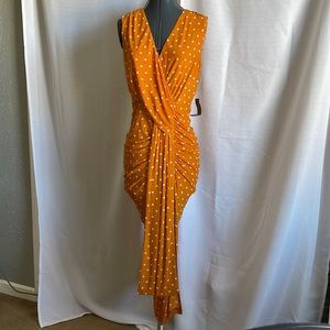 NWT Eva Mendes Dress